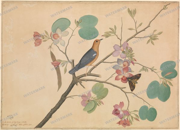 Wall Art Vintage Paintings