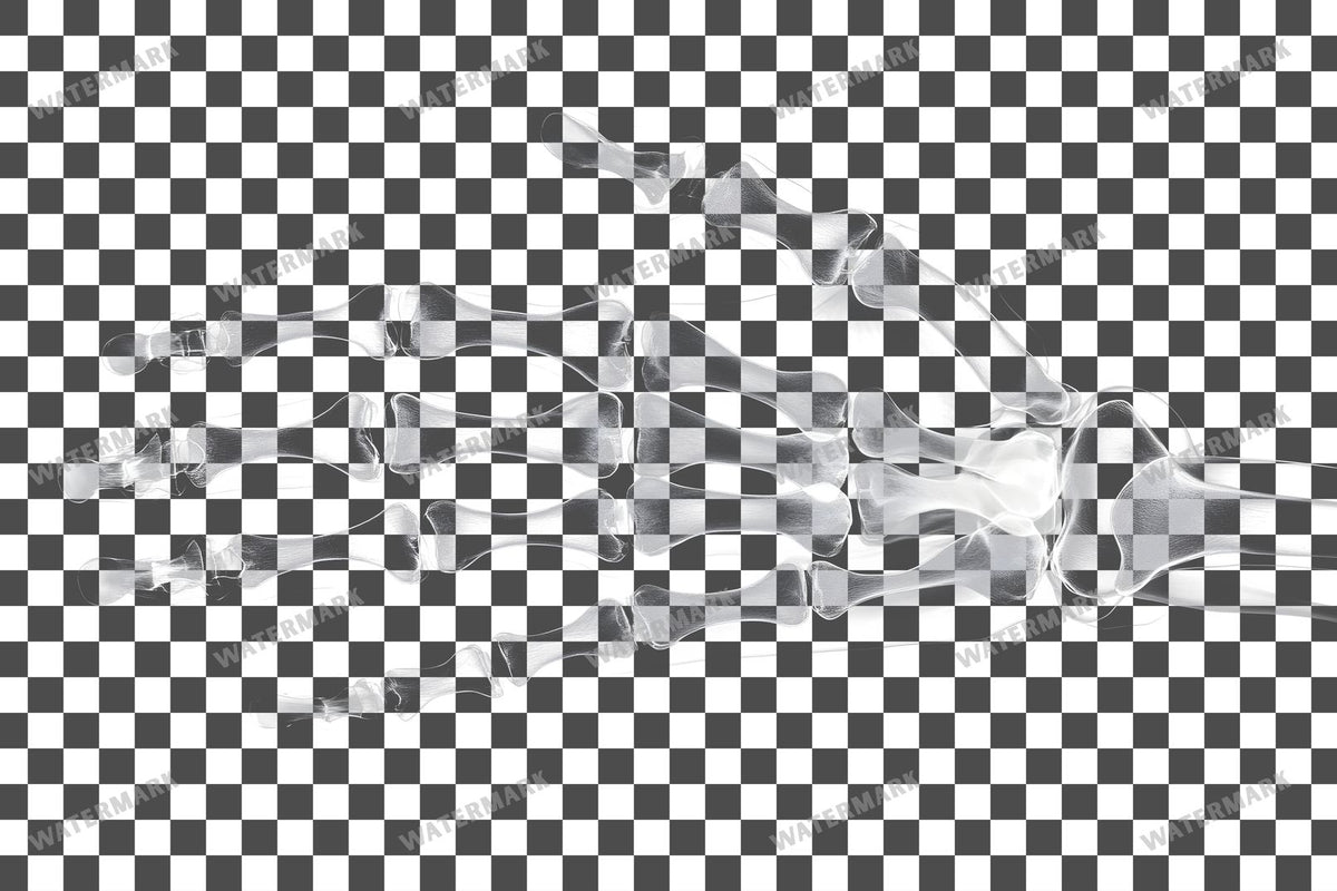 X-Ray Transparent Overlay Pngs