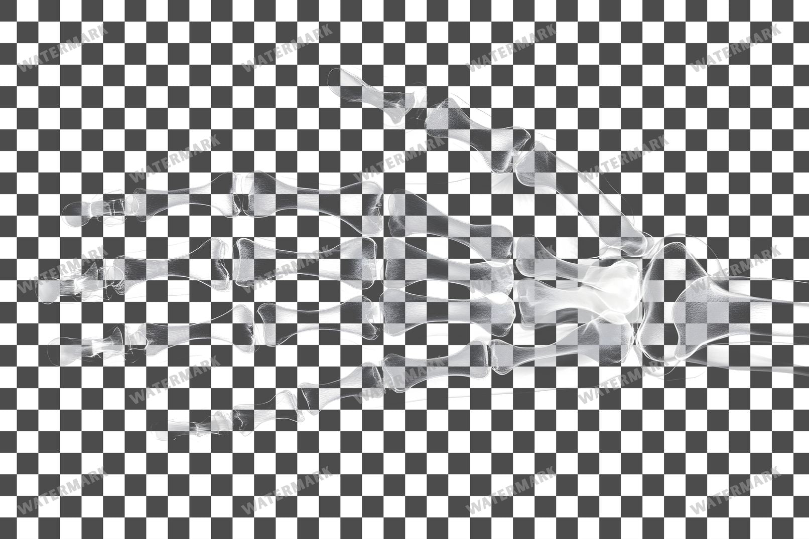X-Ray Transparent Overlay Pngs