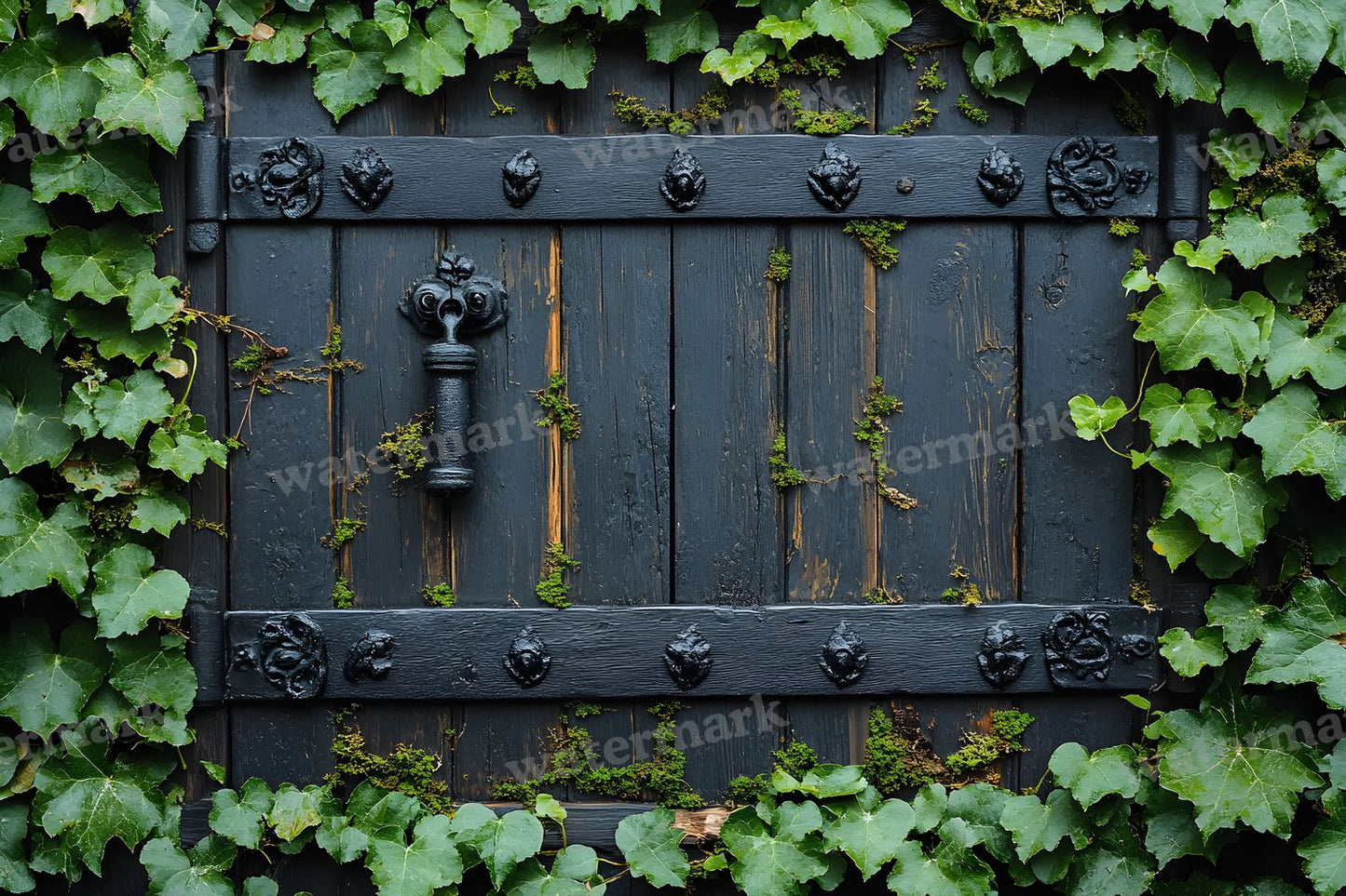 Aged Rustic Wood Door Backdrop Images