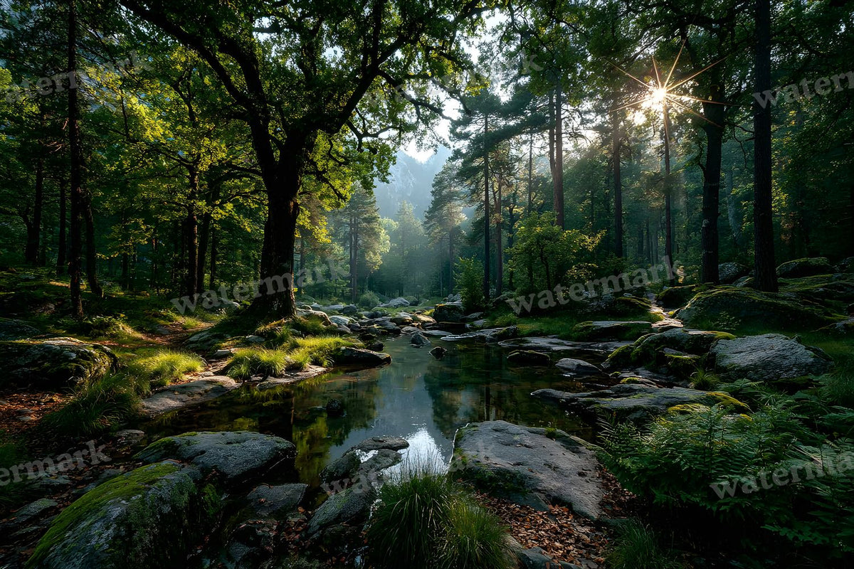 Alice Wonderland Magical Forest Backdrop Images