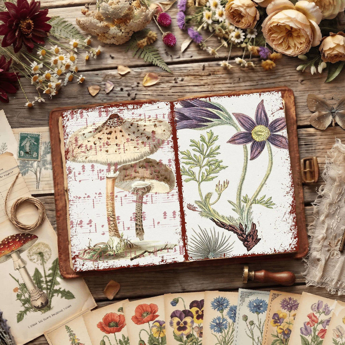 Botanical Illustrations Digital Papers