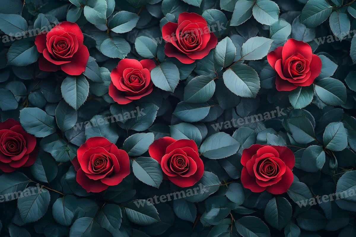 Burgundy Rose Arrangement Backdrop Images