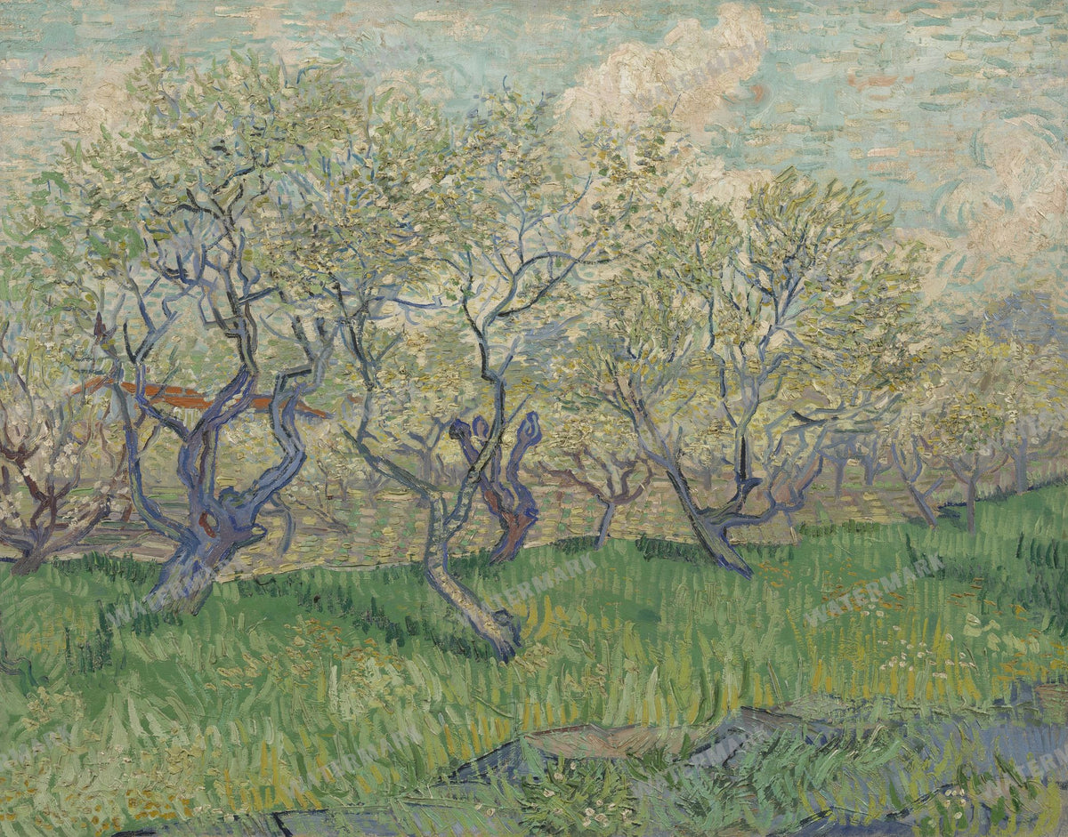 Vincent Willem Van Gogh Vintage Paintings