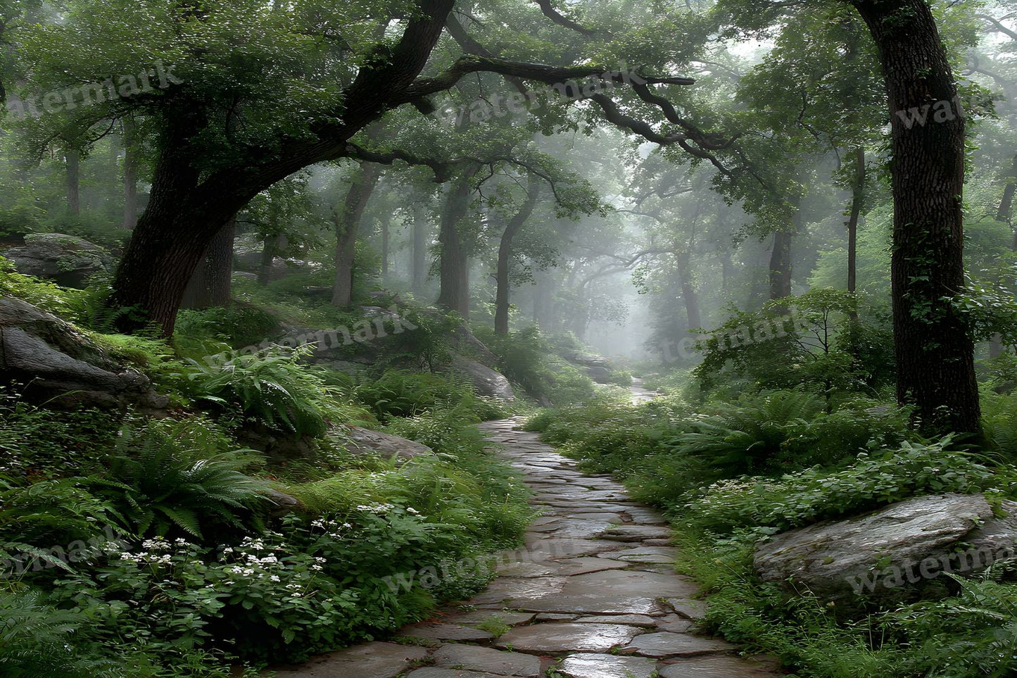Alice Wonderland Magical Forest Backdrop Images
