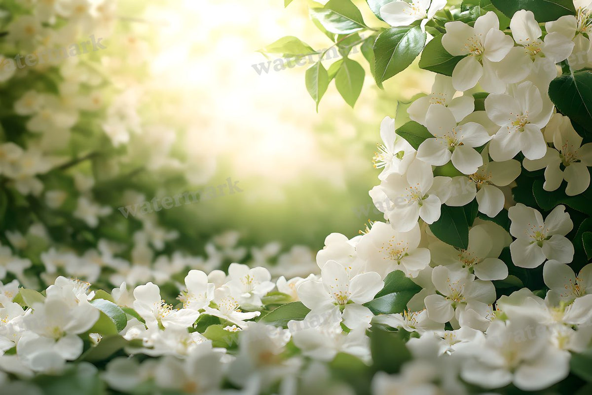 Spring Blossom Escape Backdrop Images