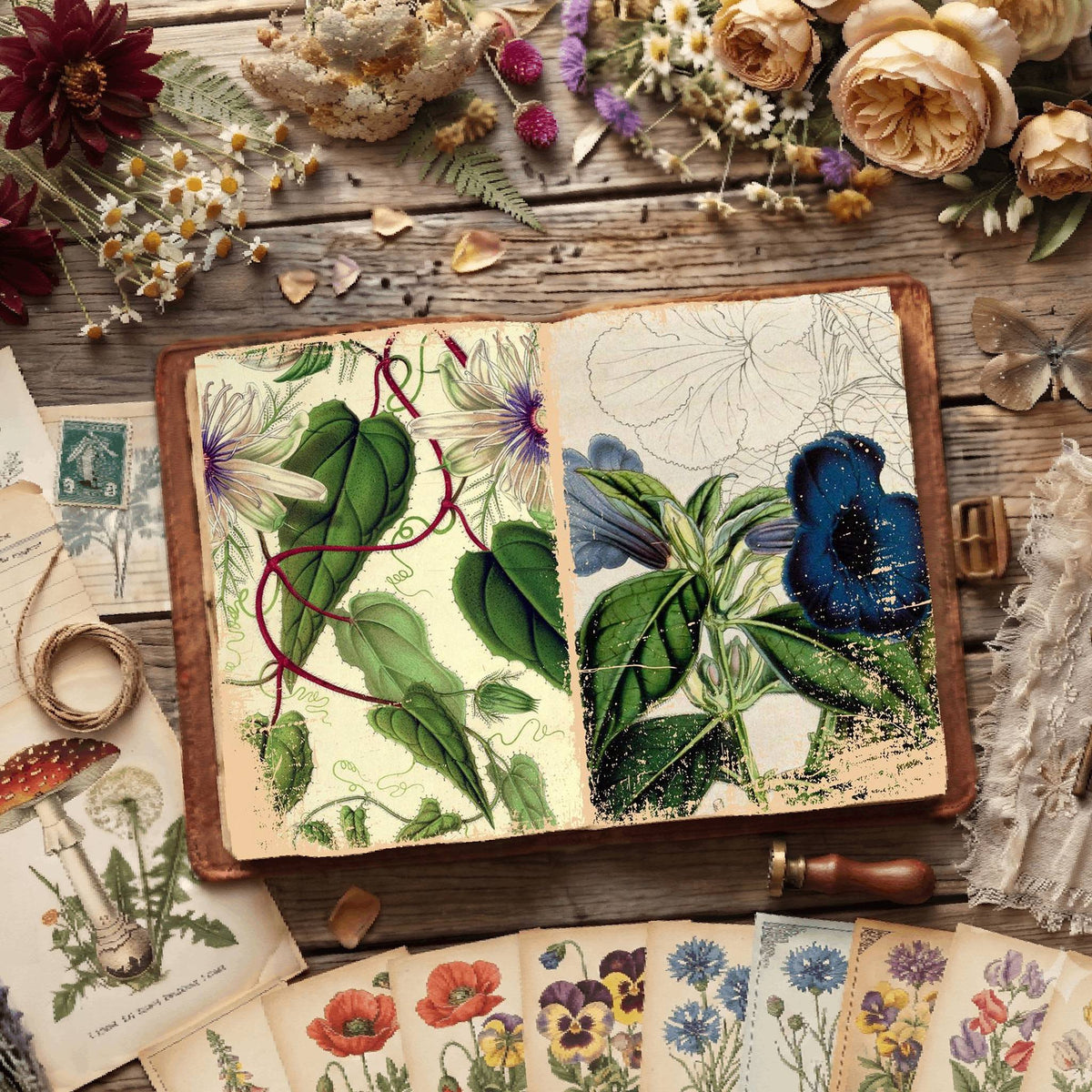 Botanical Illustrations Digital Papers