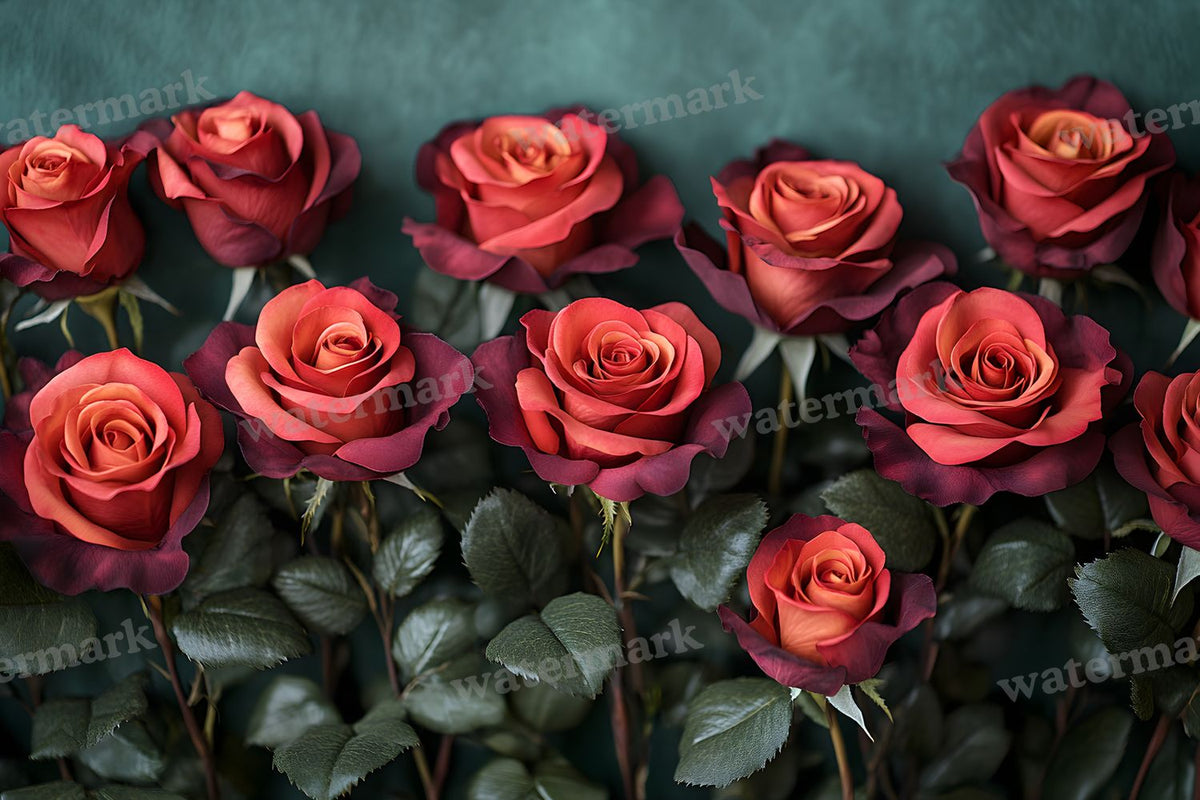 Burgundy Rose Arrangement Backdrop Images