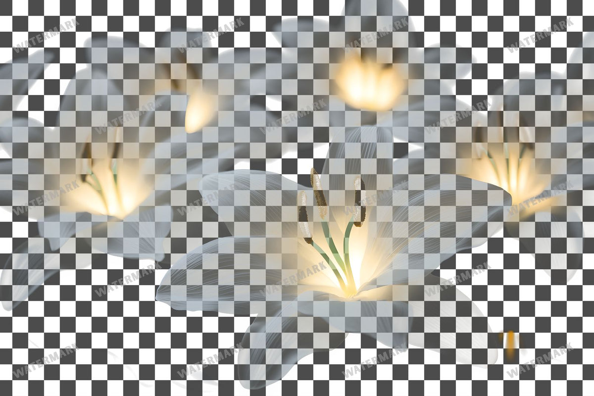 Easter Lilies Transparent Overlay Pngs