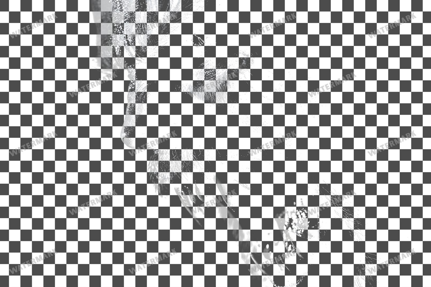 Vampire Transparent Overlay Pngs