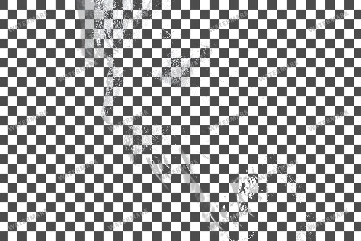 Vampire Transparent Overlay Pngs