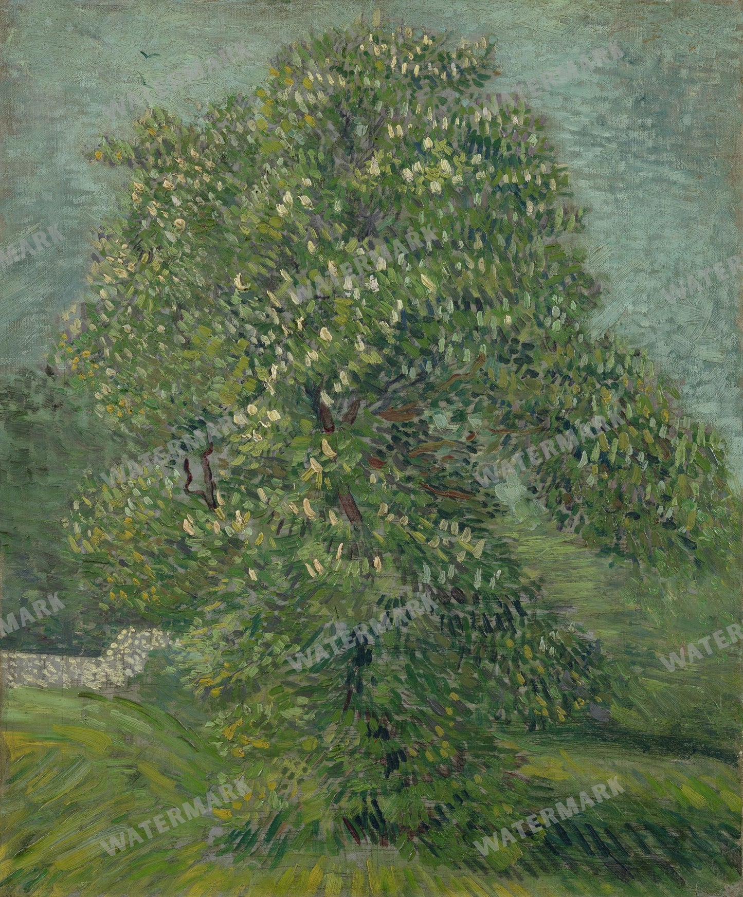 Vincent Willem Van Gogh Vintage Paintings
