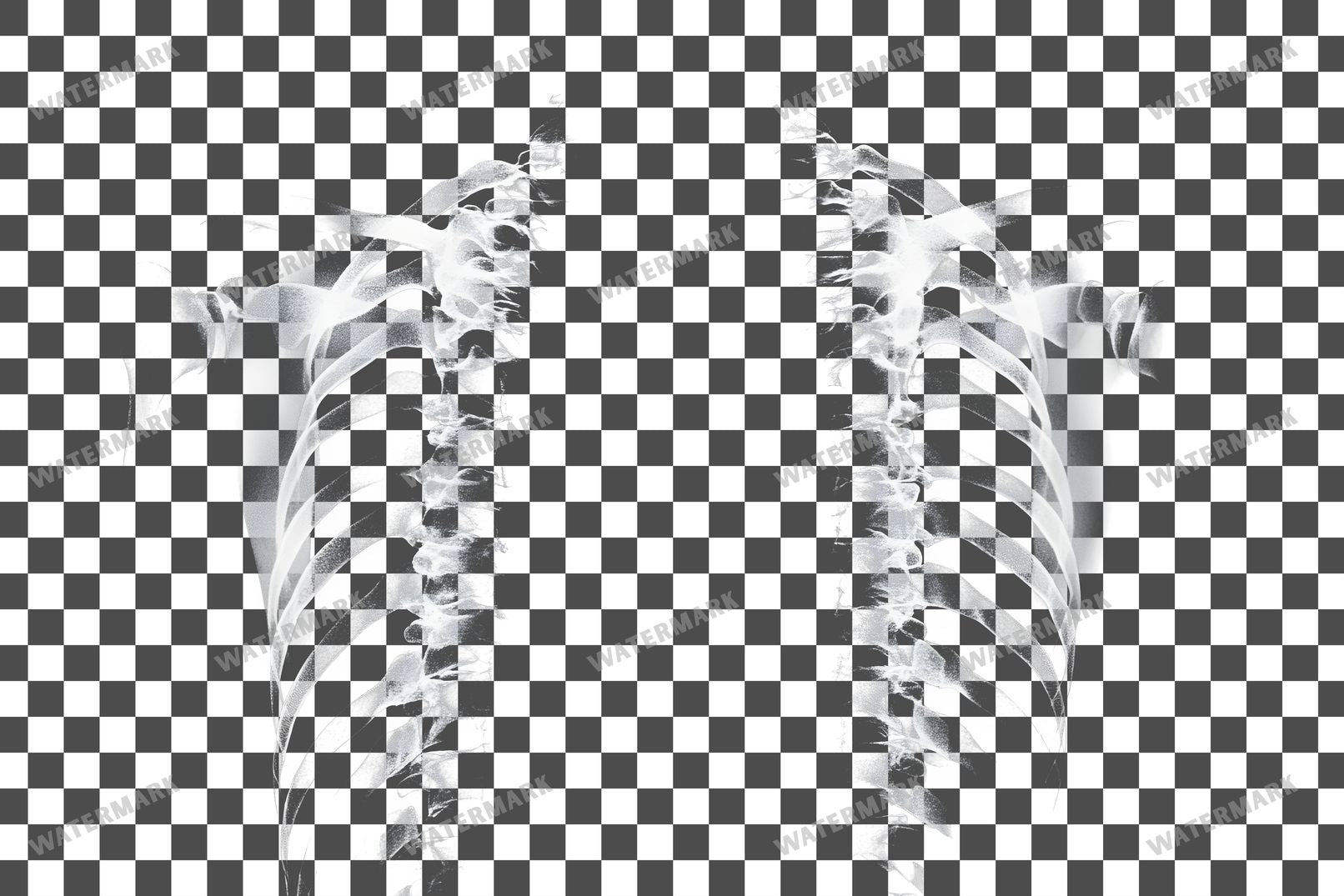 X-Ray Transparent Overlay Pngs
