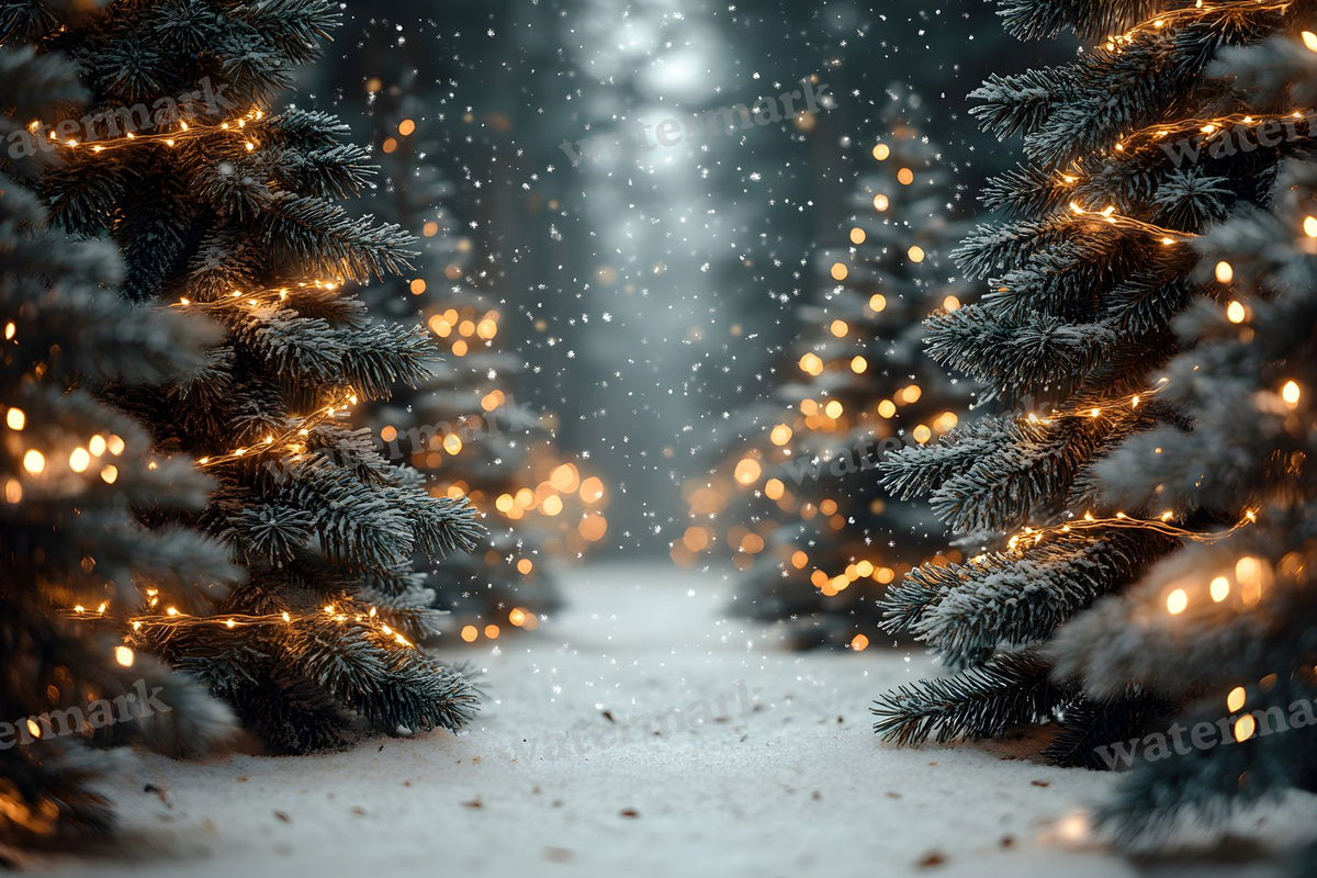 Snowy Forest Backdrop Images