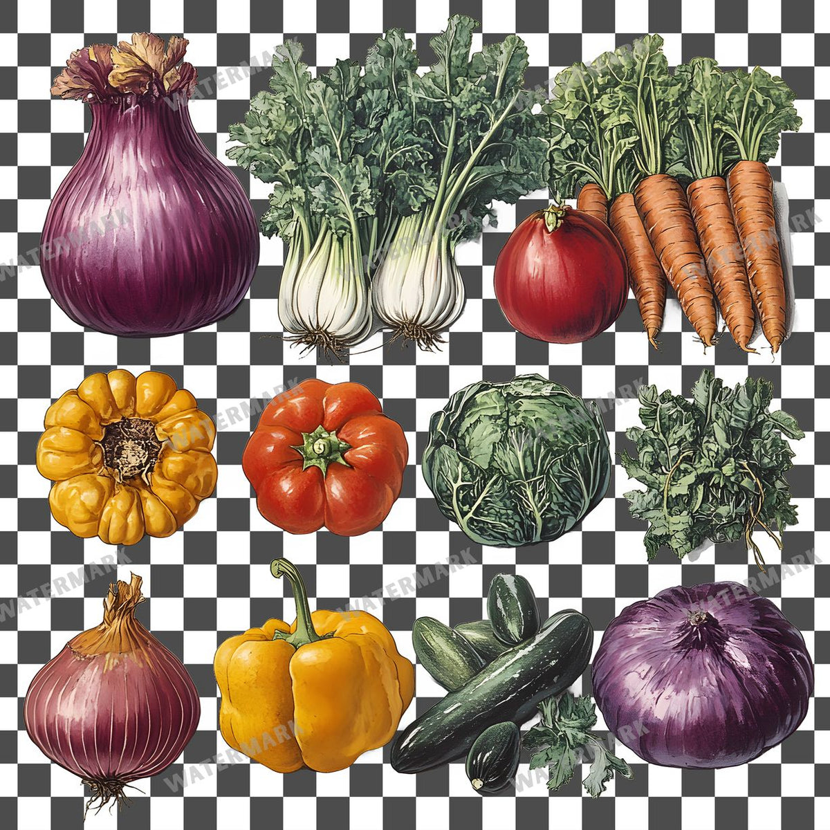 Vegetables Vintage Style Clipart Pngs