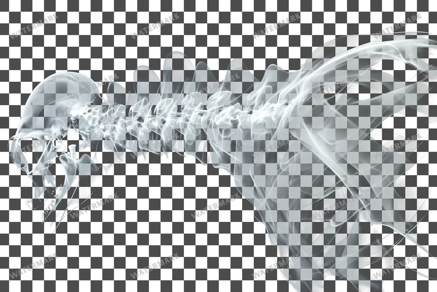 X-Ray Transparent Overlay Pngs