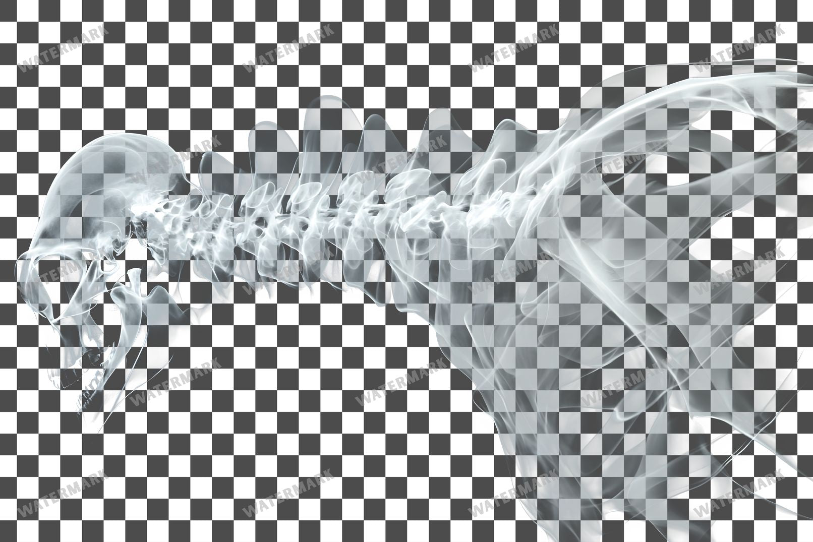 X-Ray Transparent Overlay Pngs