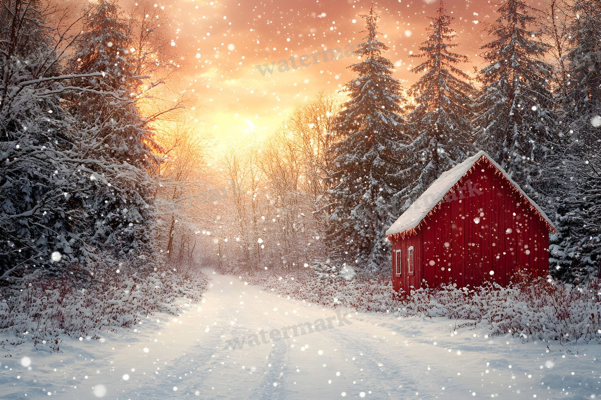 Christmas Outdoor Scene Backdrop Images