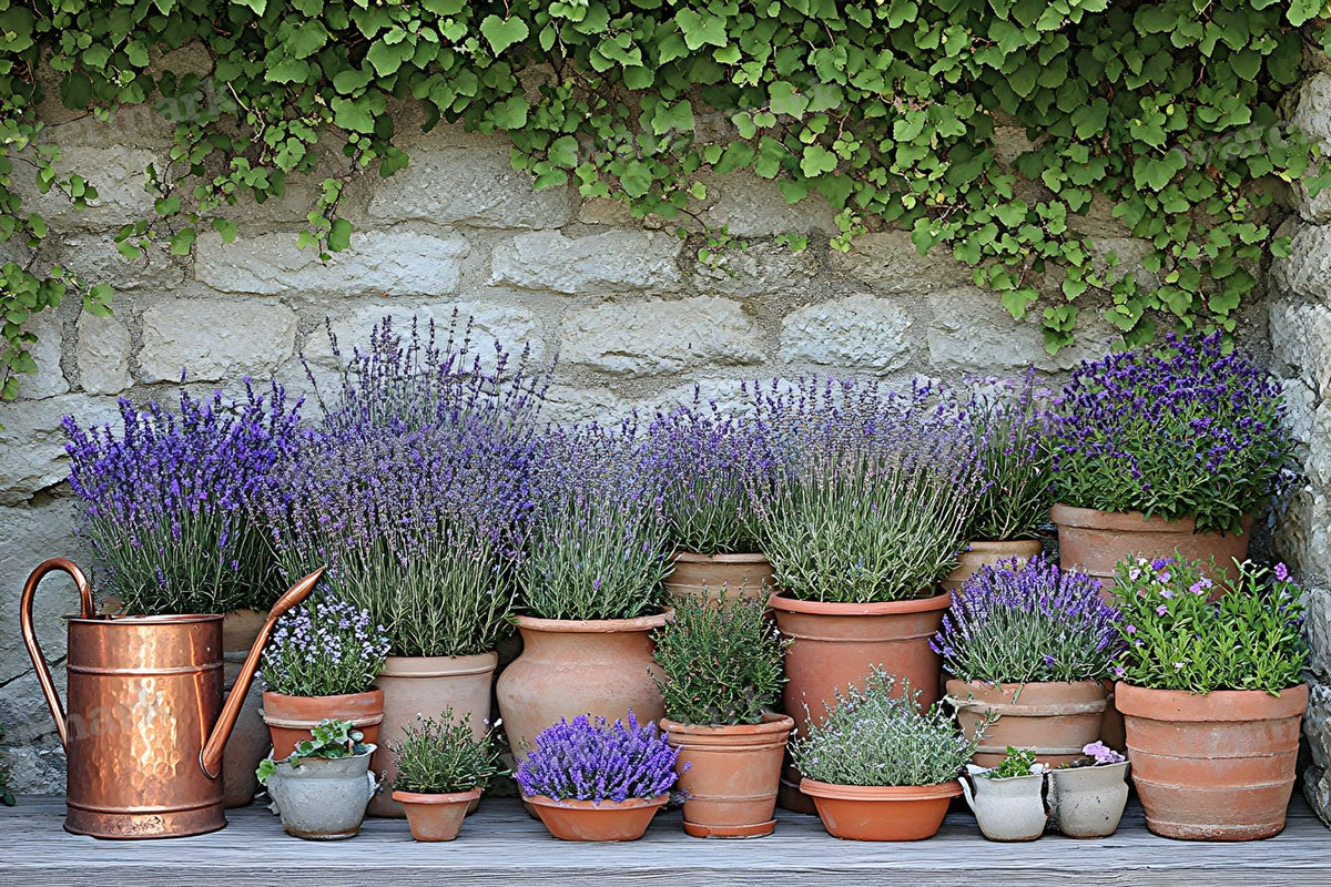 Meticulouvictorian Garden Backdrop Images