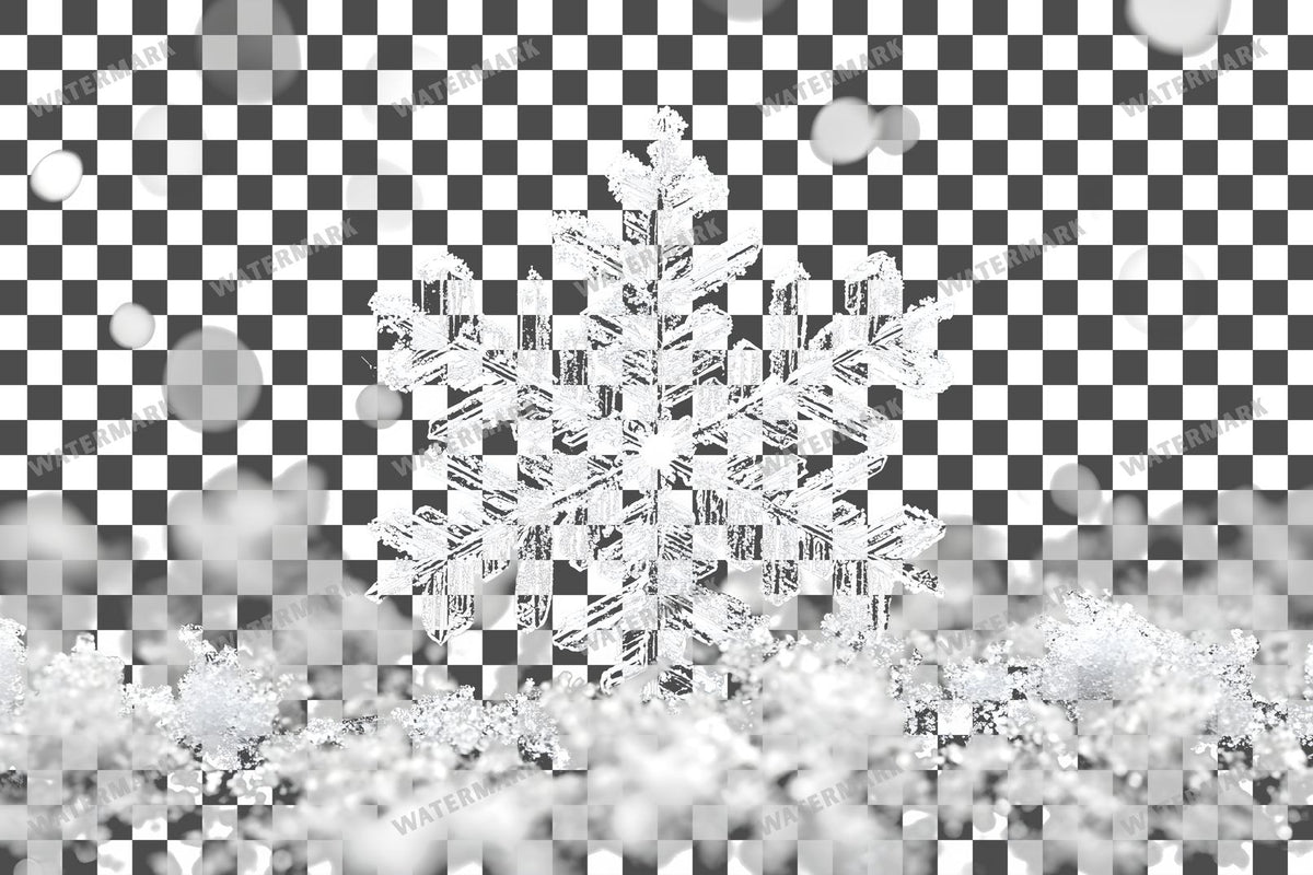 Snow Flake Overlay Lots