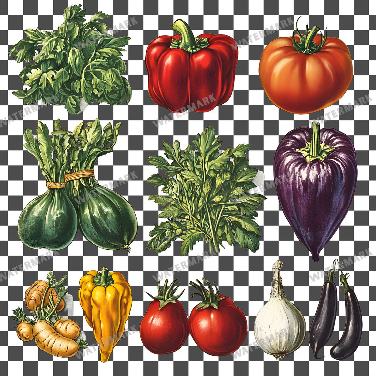 Vegetables Vintage Style Clipart Pngs