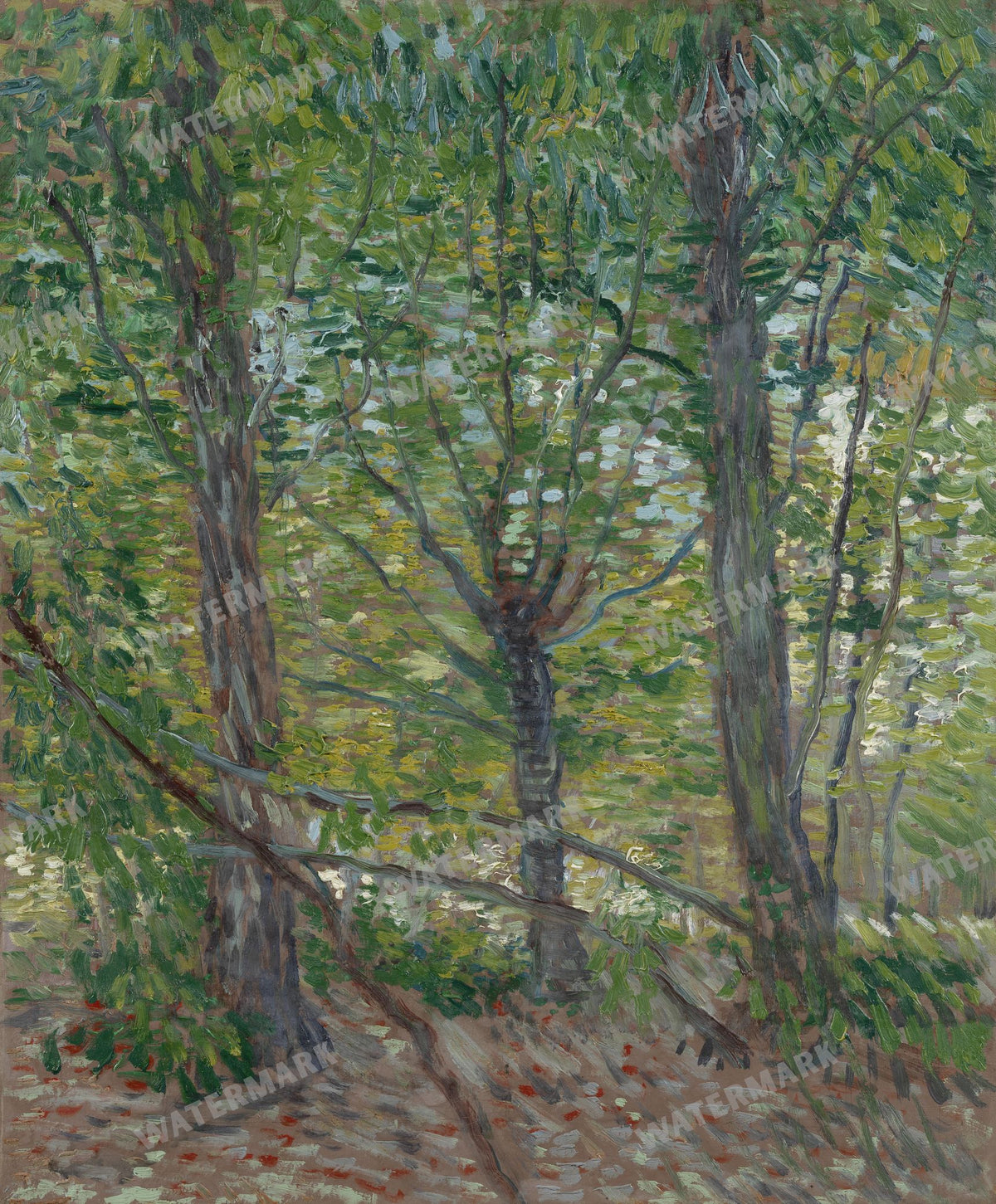 Vincent Willem Van Gogh Vintage Paintings