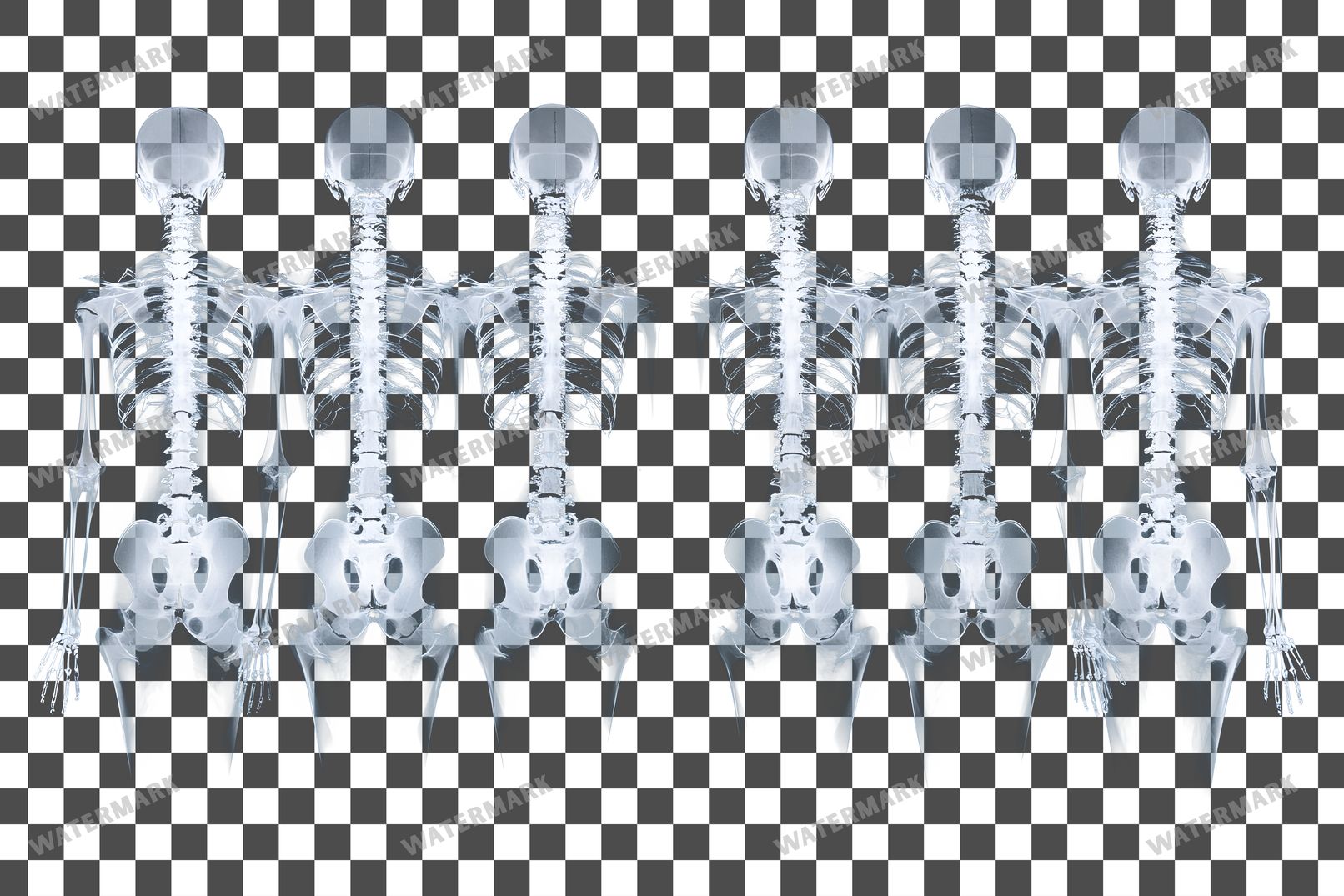 X-Ray Transparent Overlay Pngs
