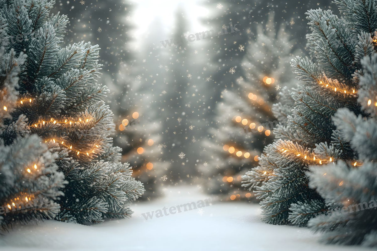 Snowy Forest Backdrop Images