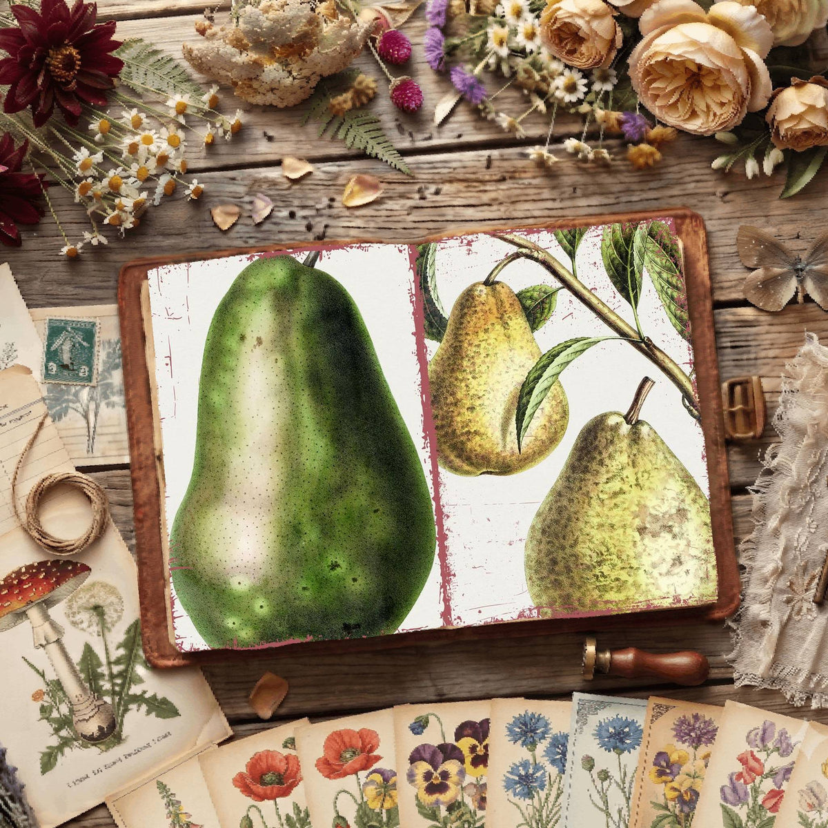 Botanical Illustrations Digital Papers