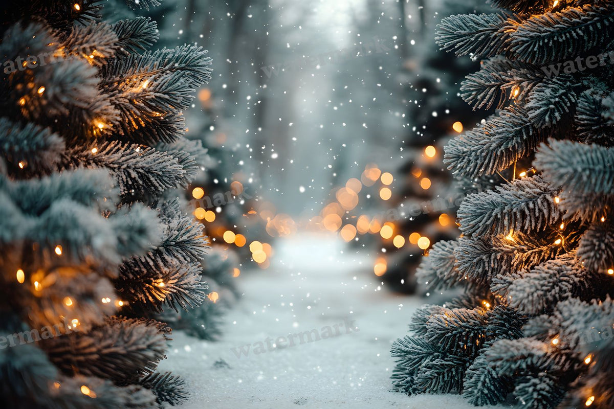 Snowy Forest Backdrop Images