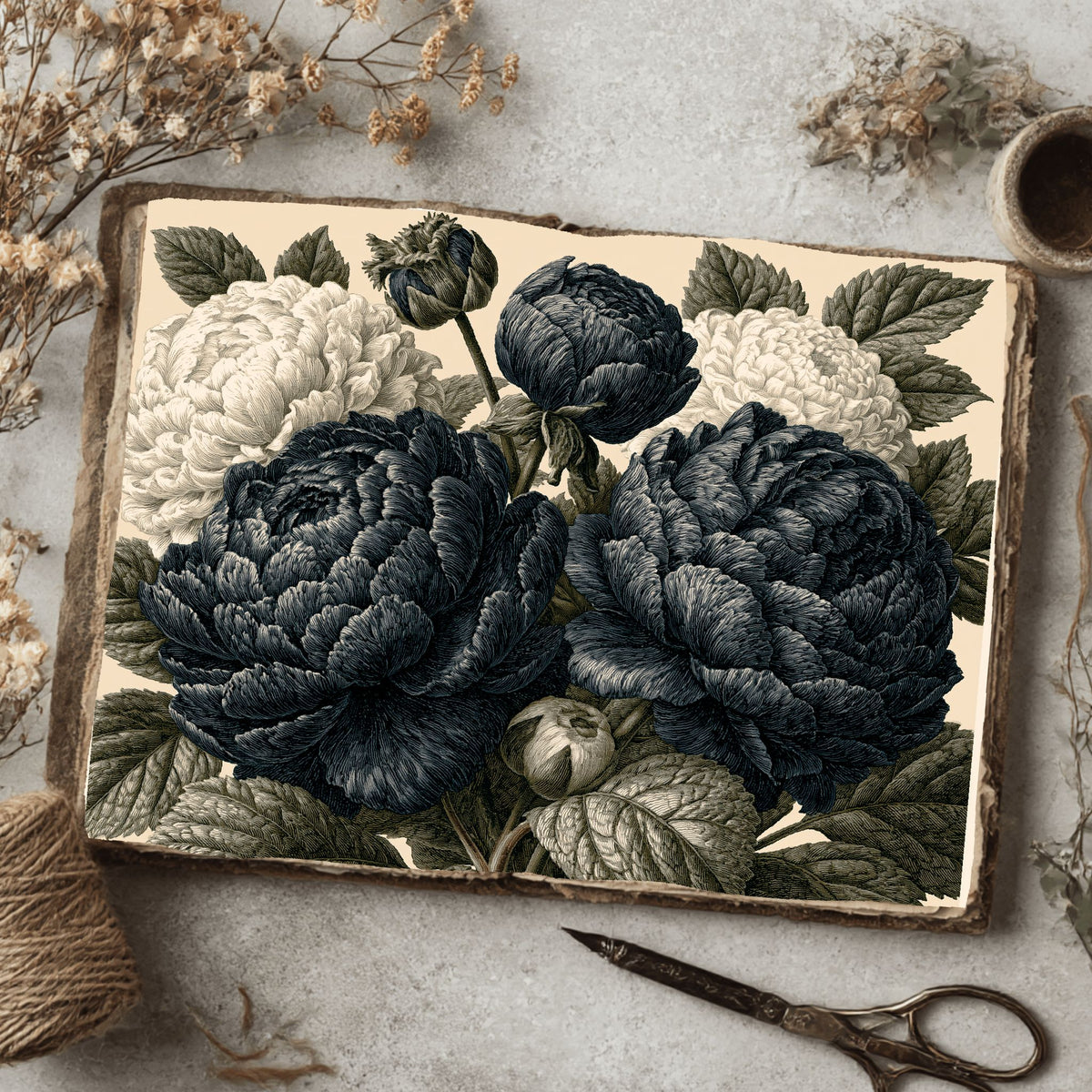 Vintage Black Ink Floral Illustration