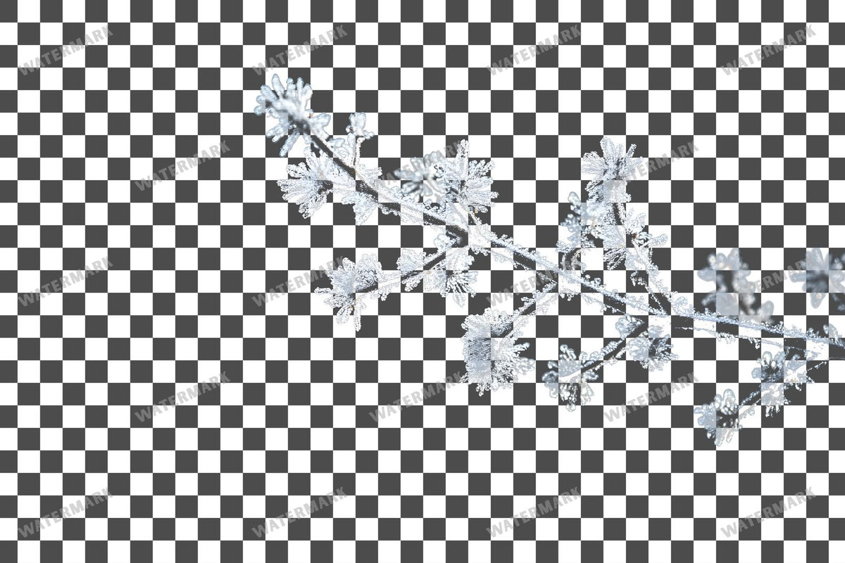 Snowy Day Lighting Soft White Transparent Overlay Pngs