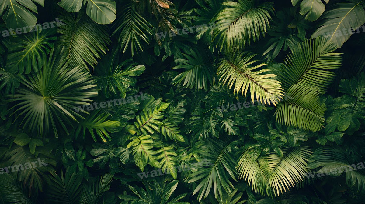 Tropical Forest Backdrop Images