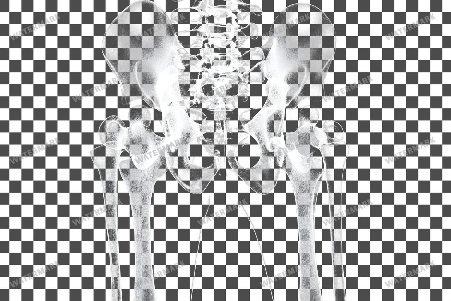 X-Ray Transparent Overlay Pngs