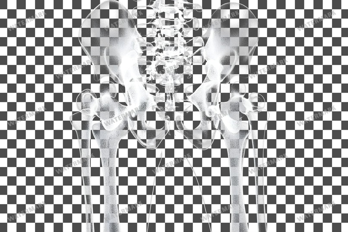 X-Ray Transparent Overlay Pngs