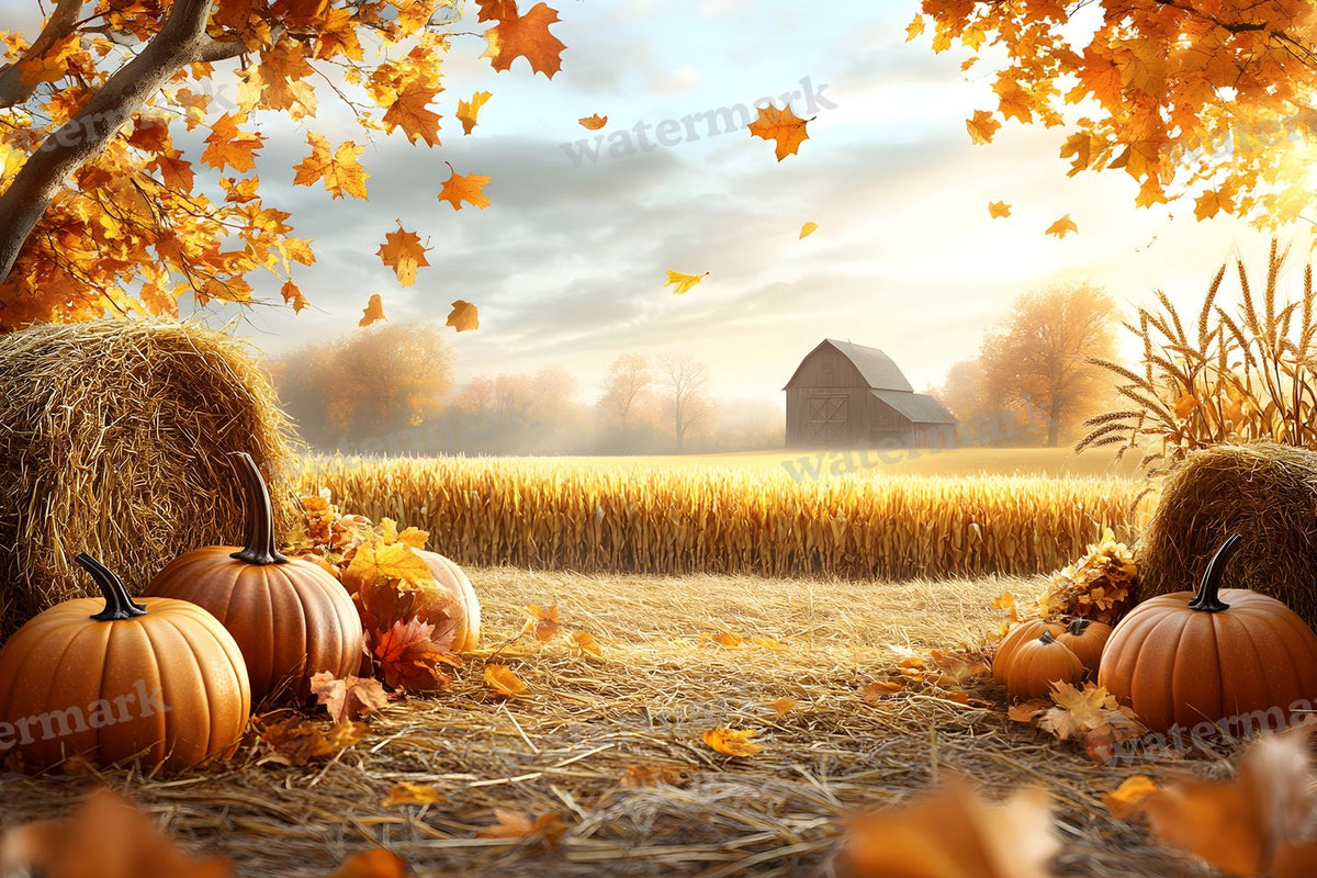 Autumn Harvest Backdrop Images