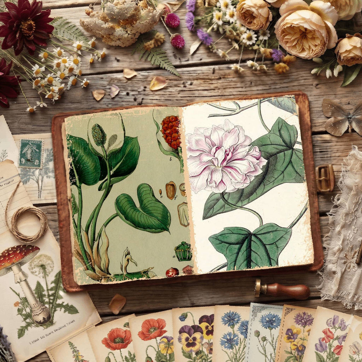 Botanical Illustrations Digital Papers