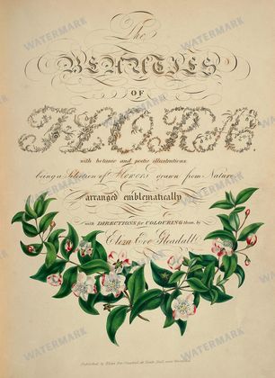 Botanical Vintage Prints
