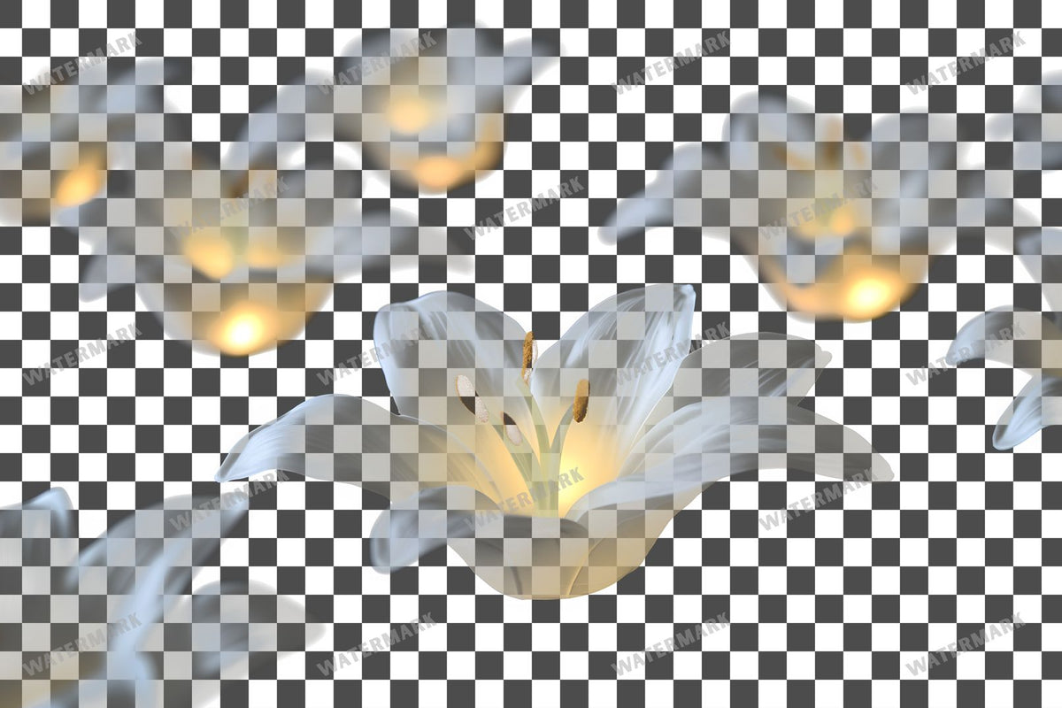 Easter Lilies Transparent Overlay Pngs