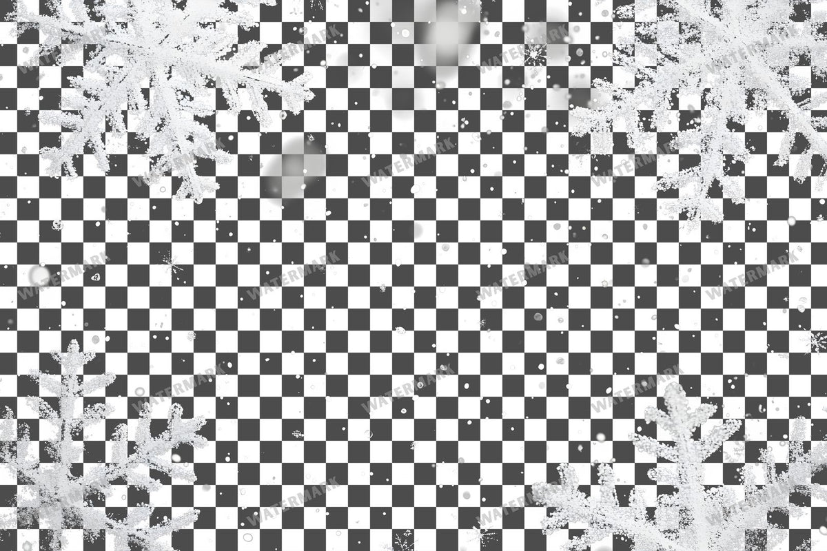 Snow Flake Overlay Lots
