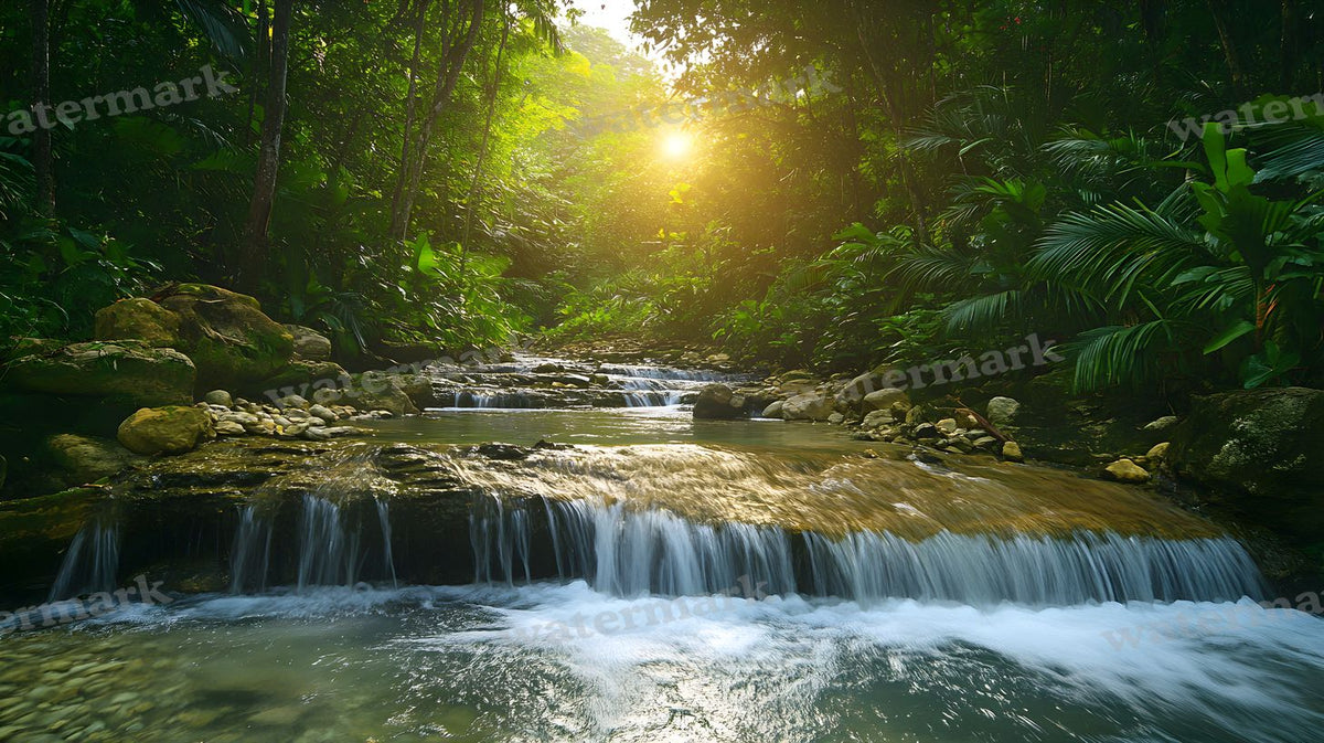 Tropical Forest Backdrop Images