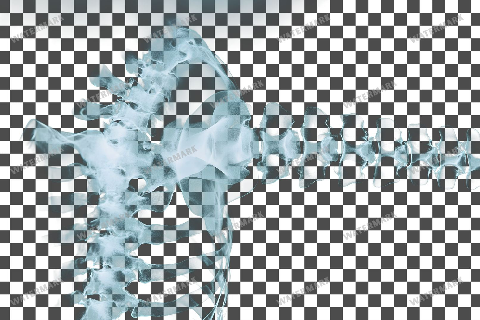 X-Ray Transparent Overlay Pngs