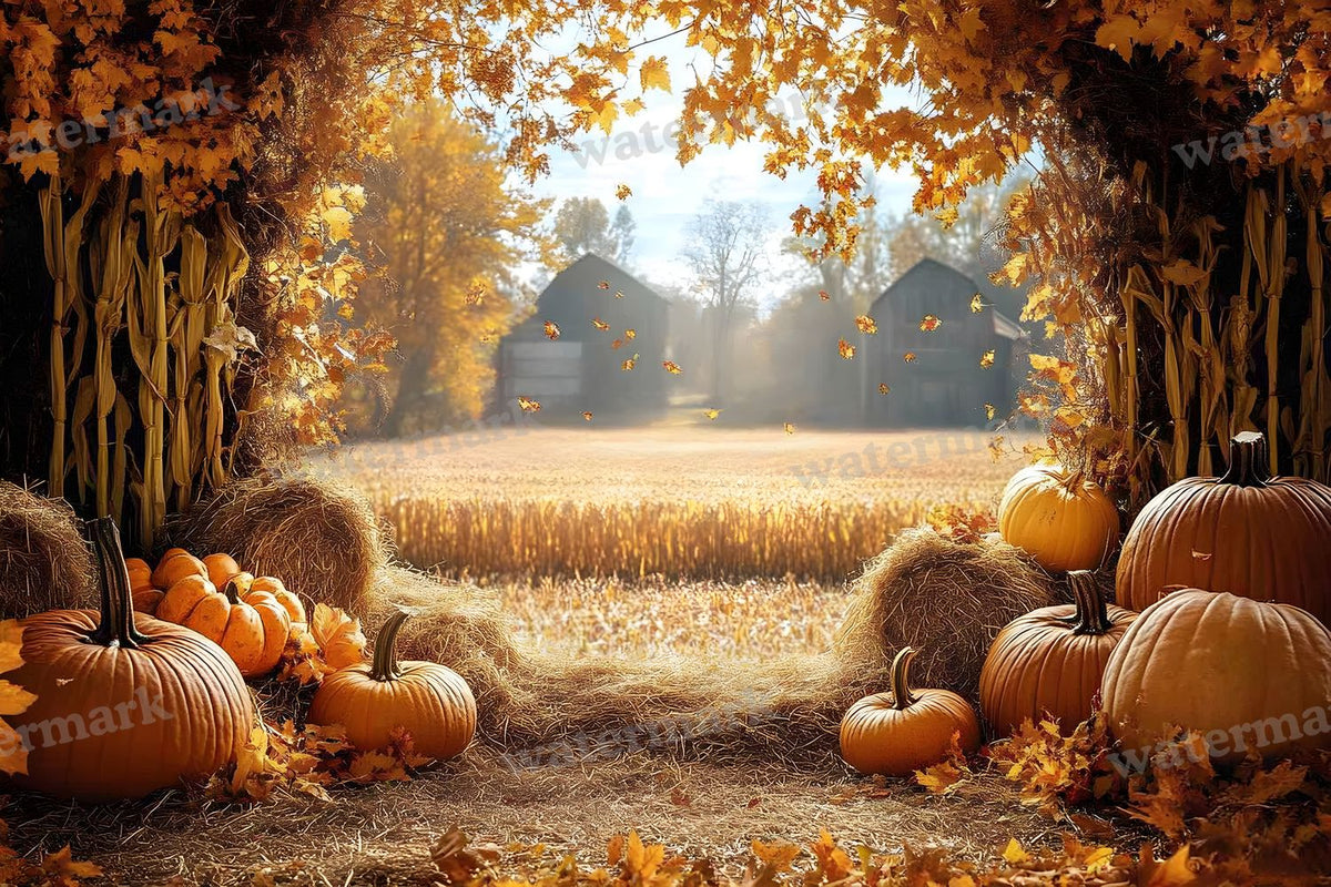 Autumn Harvest Backdrop Images