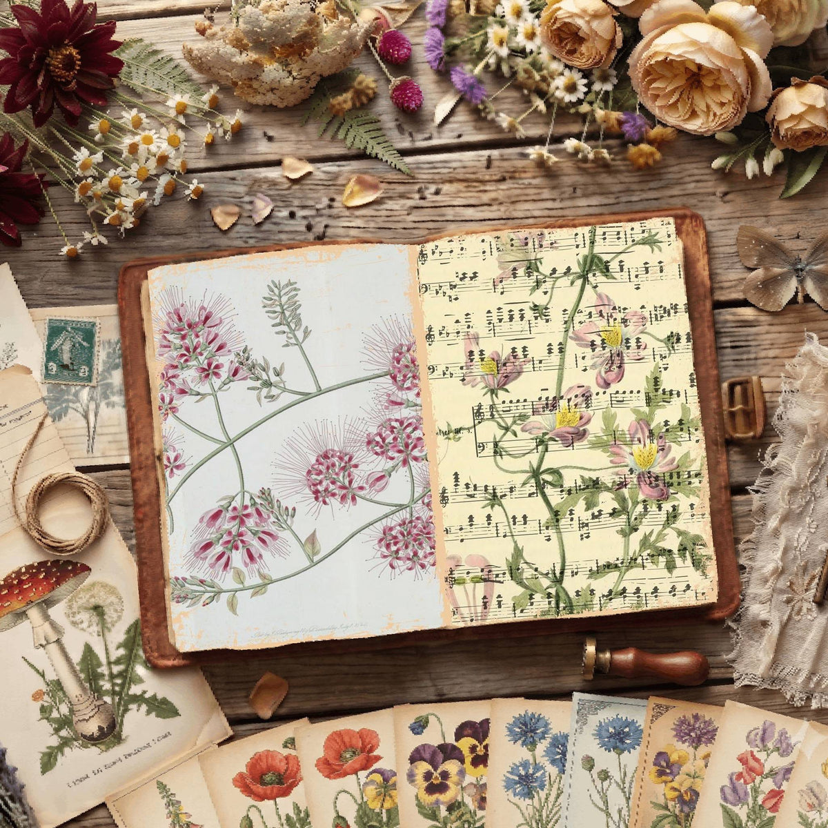 Botanical Illustrations Digital Papers