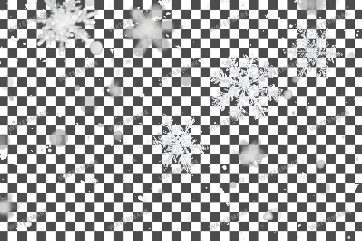 Snow Flake Overlay Lots
