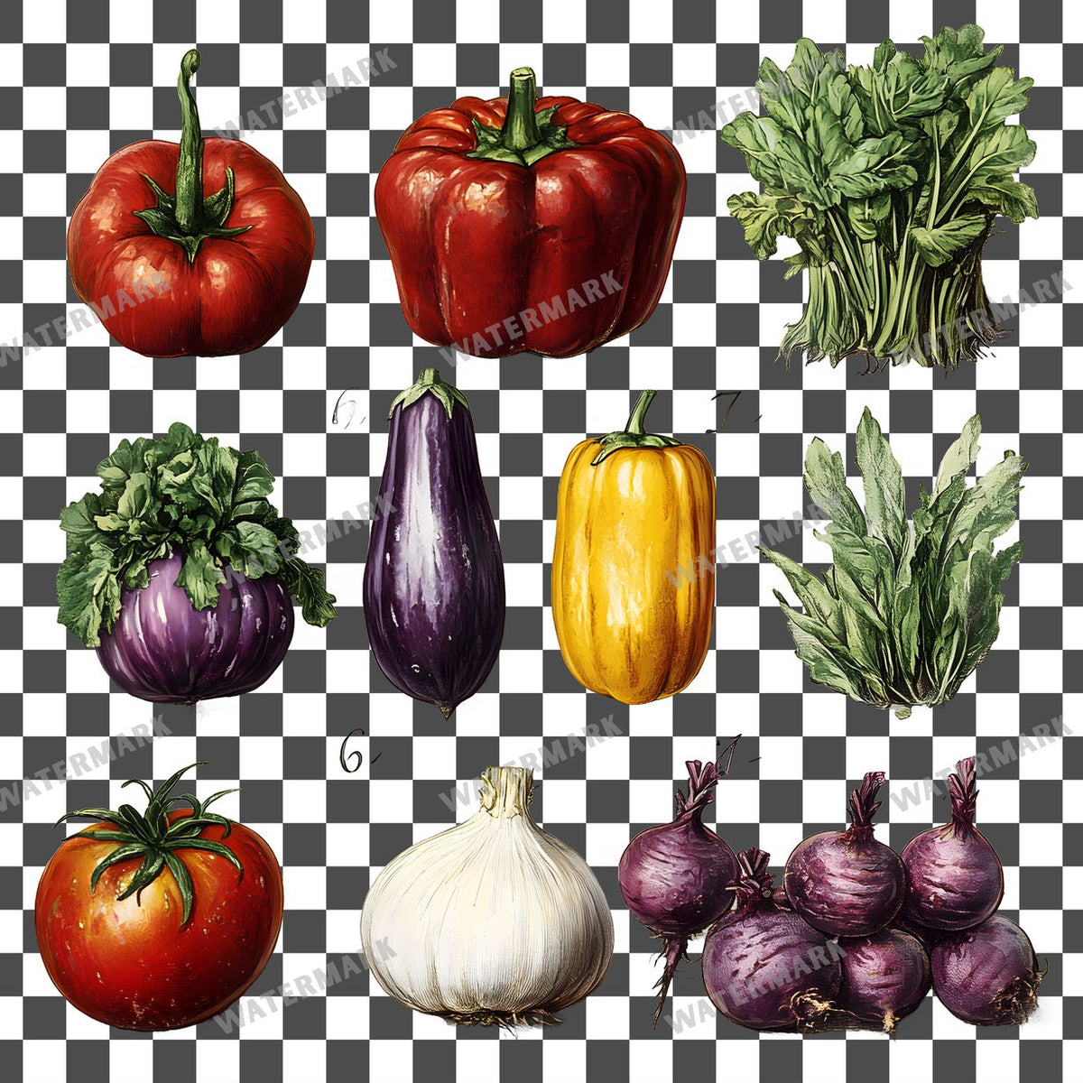 Vegetables Vintage Style Clipart Pngs