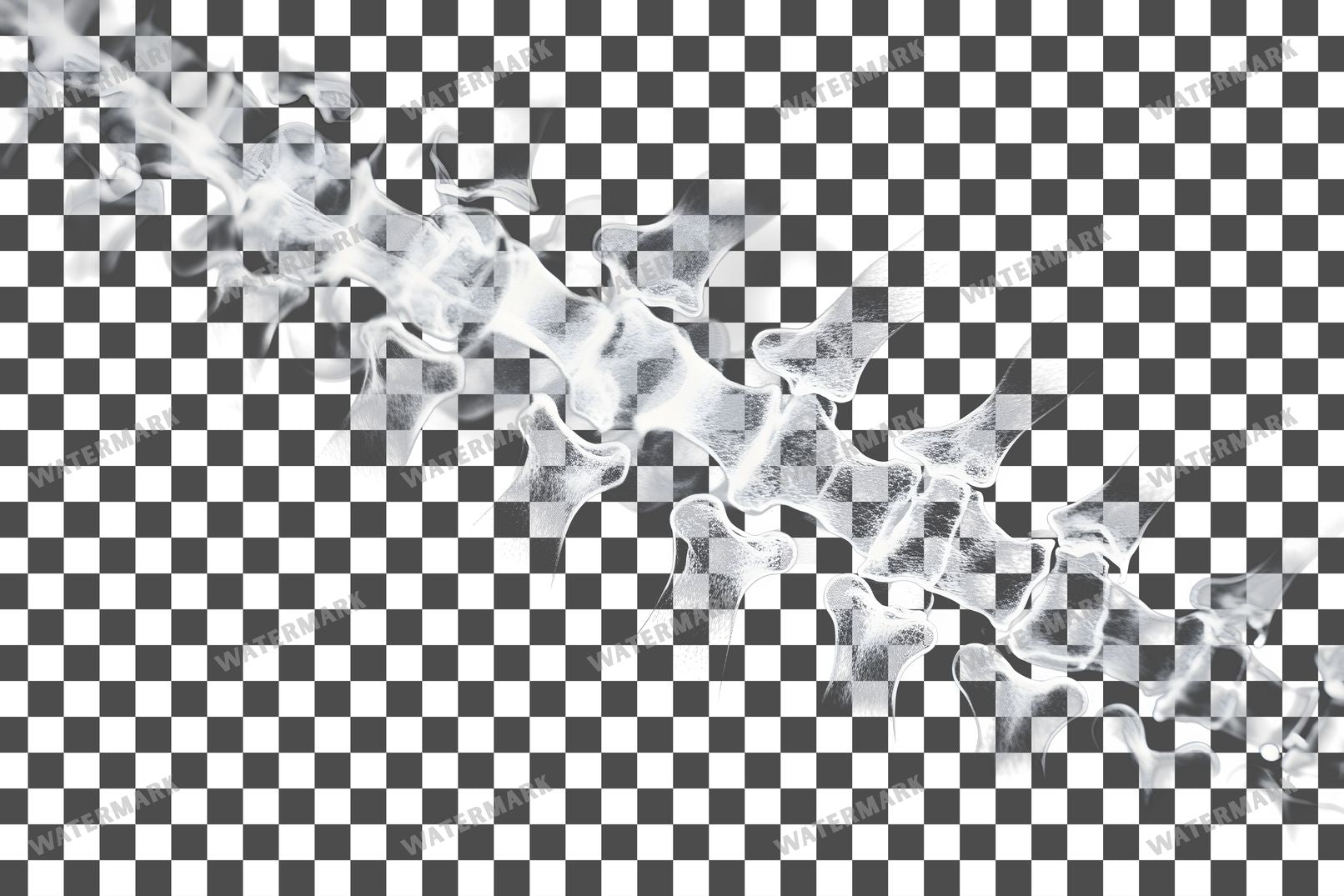 X-Ray Transparent Overlay Pngs