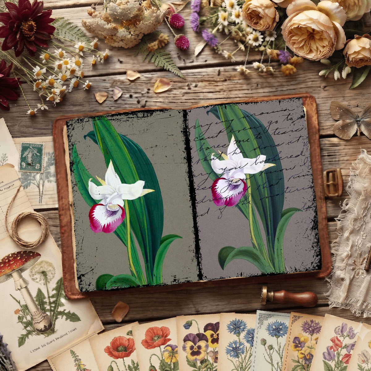 Botanical Illustrations Digital Papers