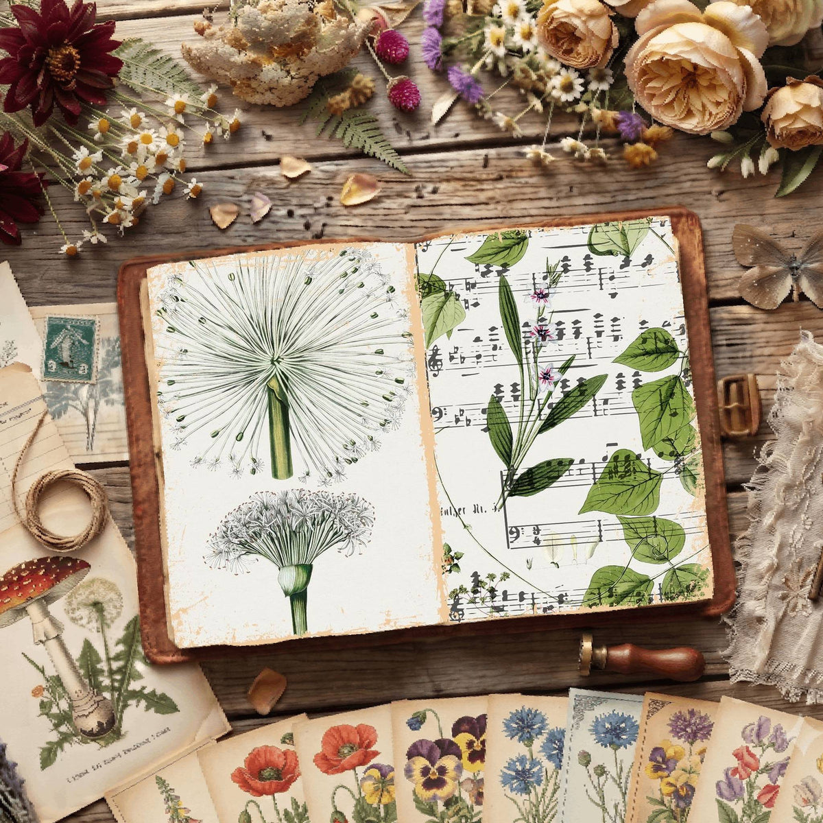 Botanical Illustrations Digital Papers