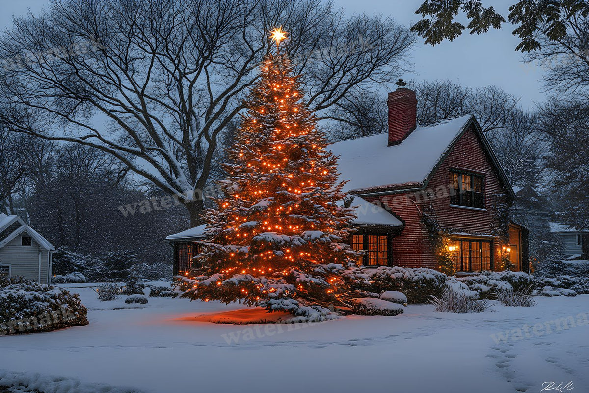 Classic Christmas Backdrop Images